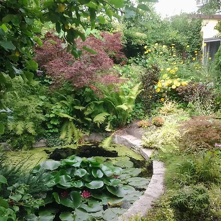 Dom wakacyjny Gartenhaus Steffie *