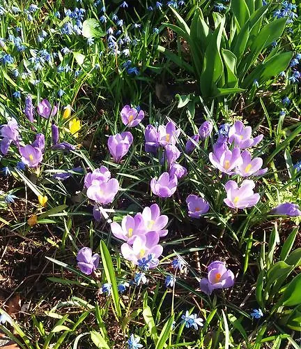 Gartenhaus Steffie Dom wakacyjny